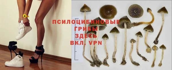 крисы Алексеевка